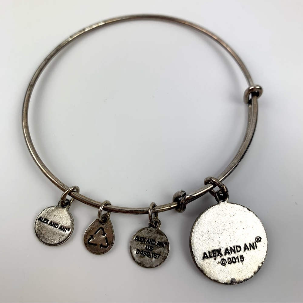 Alex and Ani Silver Bangle Sister Charm bracelet - Picture 3 of 14